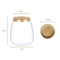 Hydroponic Glass Propagation Vase – Modern Indoor Planter Propagation Vase PLUSH A