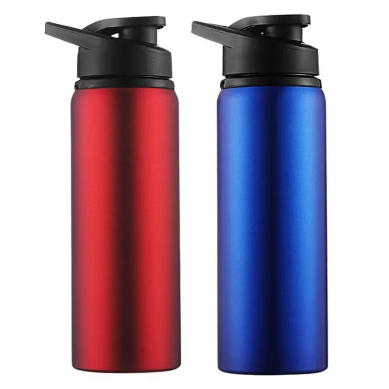 2-Pack 700ml Stainless Steel Bicycle Water Bottles – BPA-Free Sports Water Bottle PLUSH