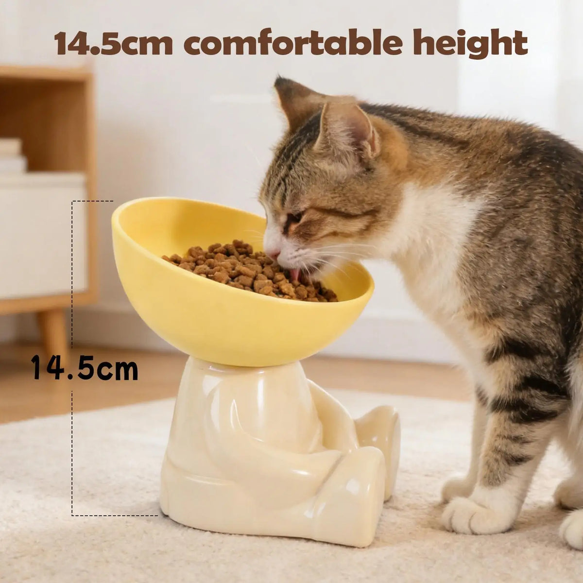 Tilted Elevated Pet Bowl – Non-Slip Cat & Dog Feeder Elevated Pet Bowl PLUSH