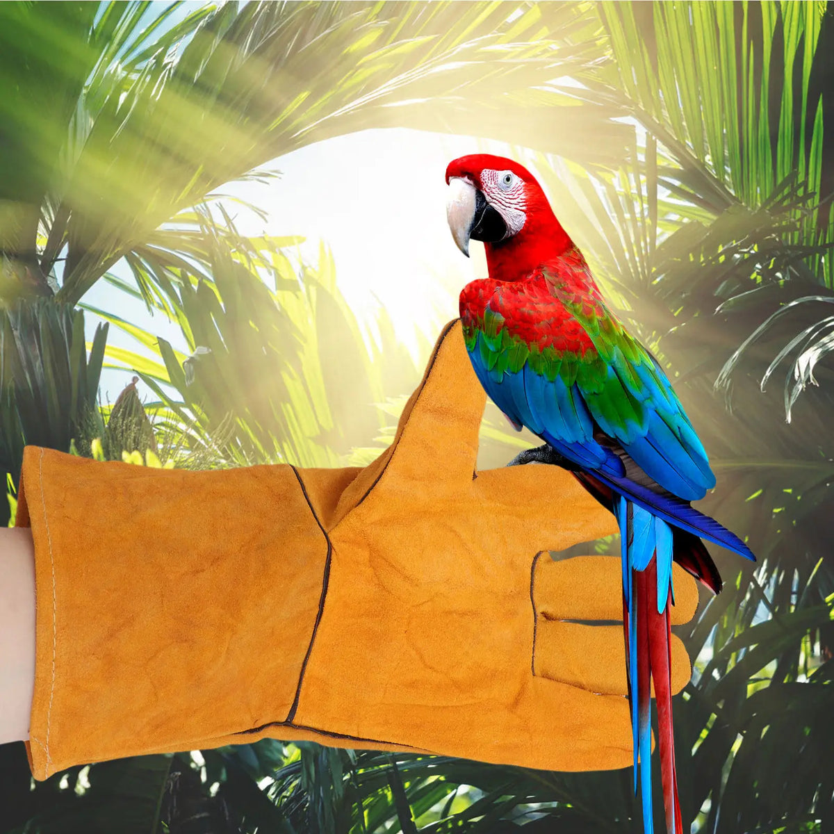 Leather Anti-Bite Pet Training Gloves – Parrot & Bird Safety Pet Training Gloves PLUSH