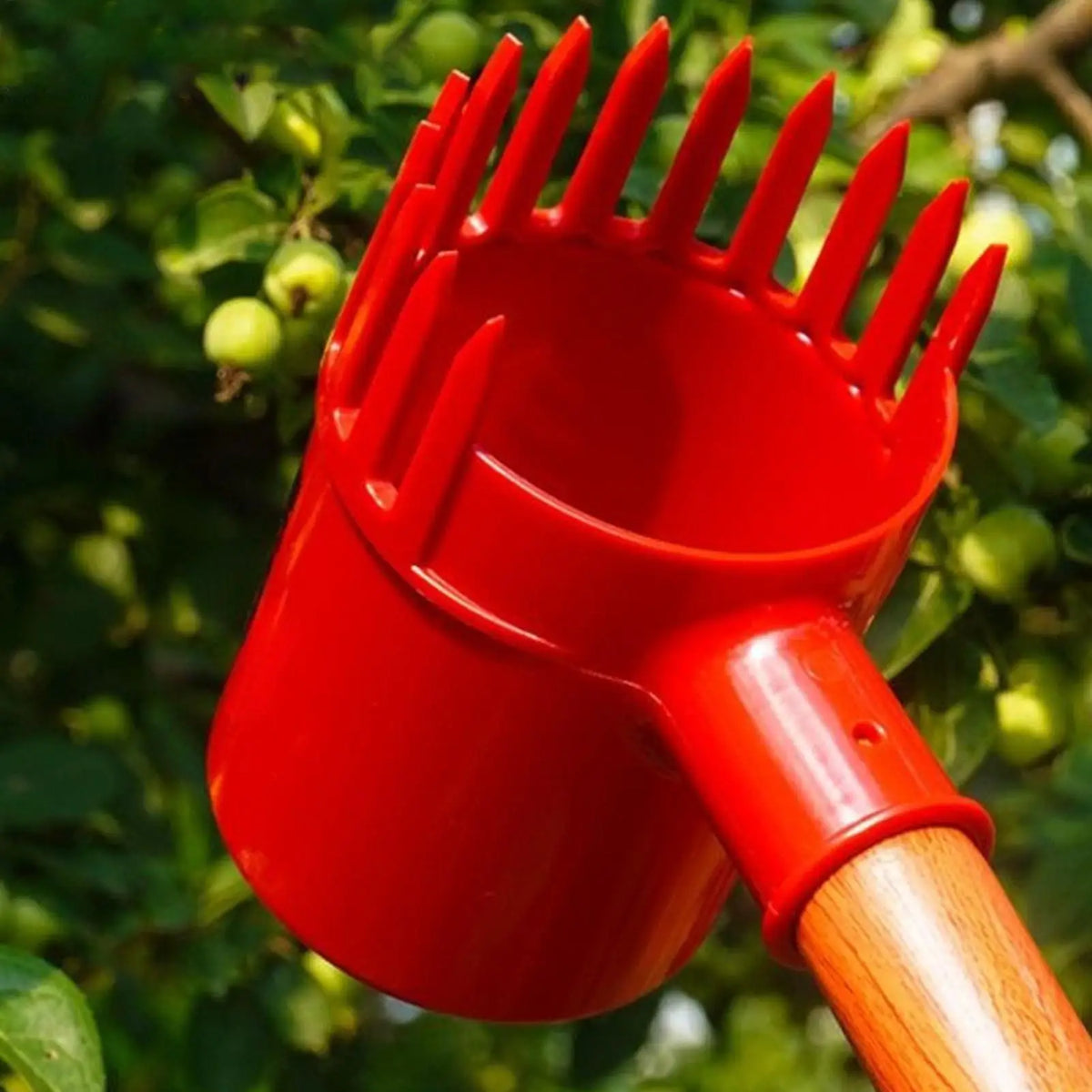 Portable Berry Picker Tool – Gentle Comb Fruit Harvester Fruit Harvesting Tool PLUSH