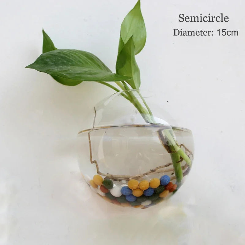 Semi-Circle Wall Vase | Glass Hydroponic Planter & Terrarium Wall Hanging Vase PLUSH
