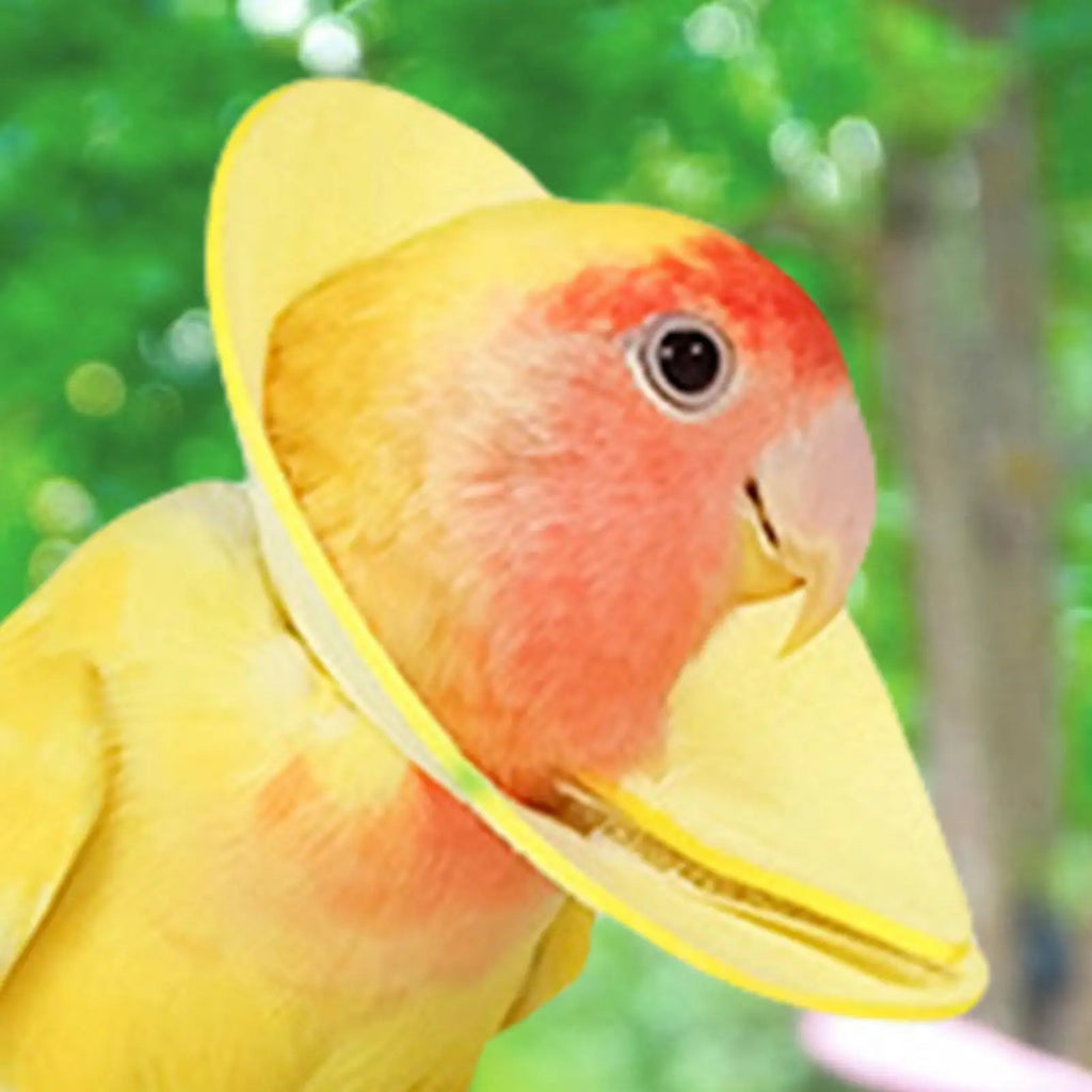 Parrot Recovery Collar – Anti-Plucking Bird Neck Sleeve Bird Recovery Collar PLUSH