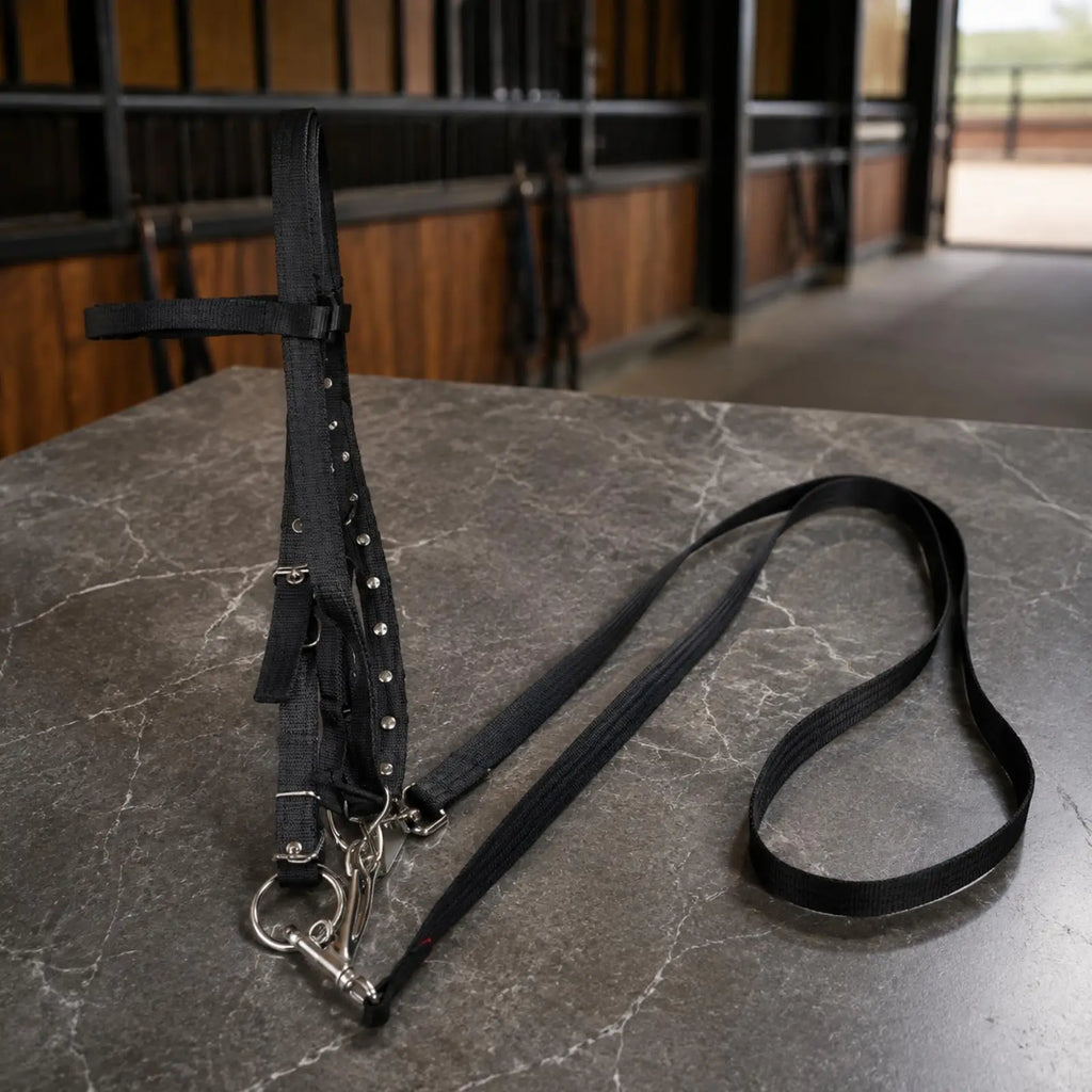 Lightweight Nylon Pony Bridle – Adjustable Buckles Riding Kit Equestrian Bridle PLUSH