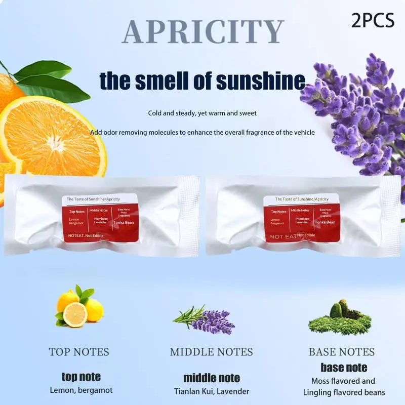 2pcs Car Aroma Diffuser Replacement Core | Car Air Freshener Car Air Freshener PLUSH A2