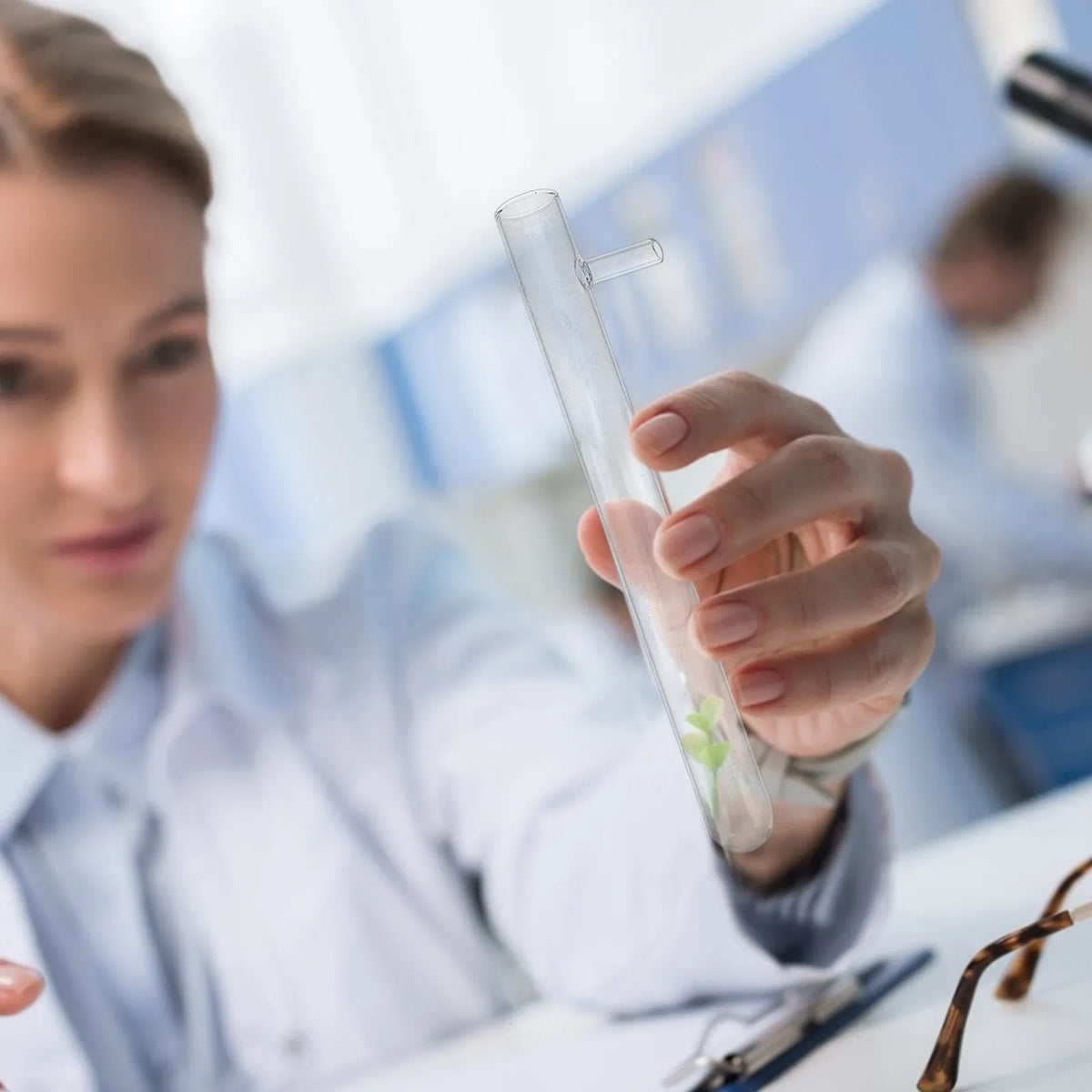 6pcs Borosilicate Glass Side Arm Test Tubes | Lab Glassware Lab Test Tubes PLUSH Default Title