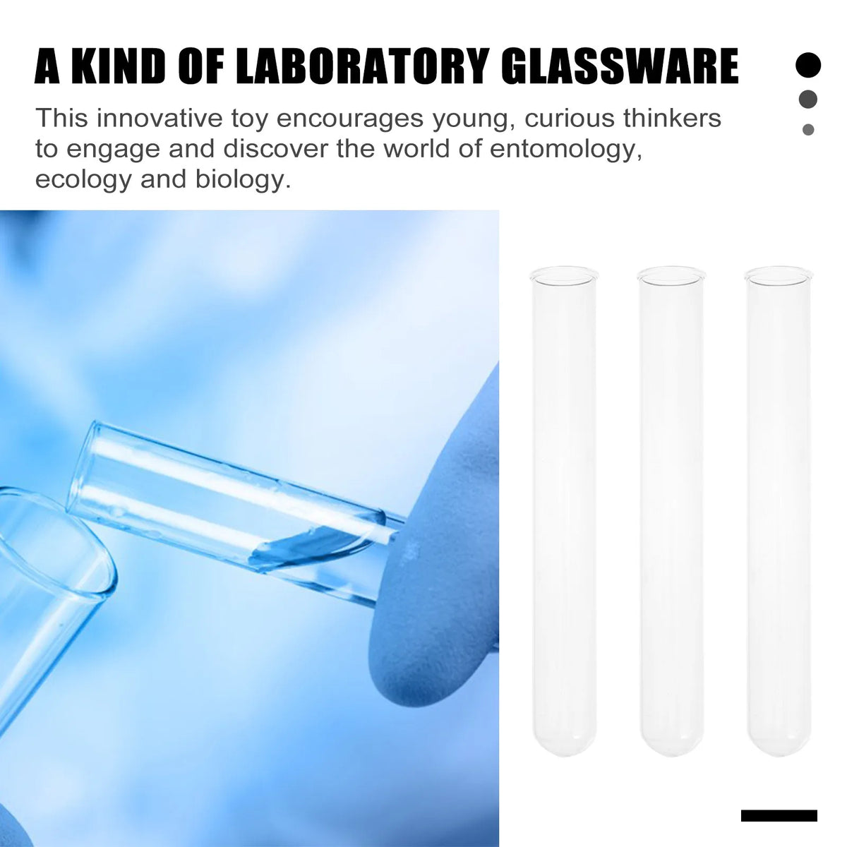 10pcs Clear Glass Test Tubes Roll Edge – DIY Lab Storage Glass Test Tubes PLUSH