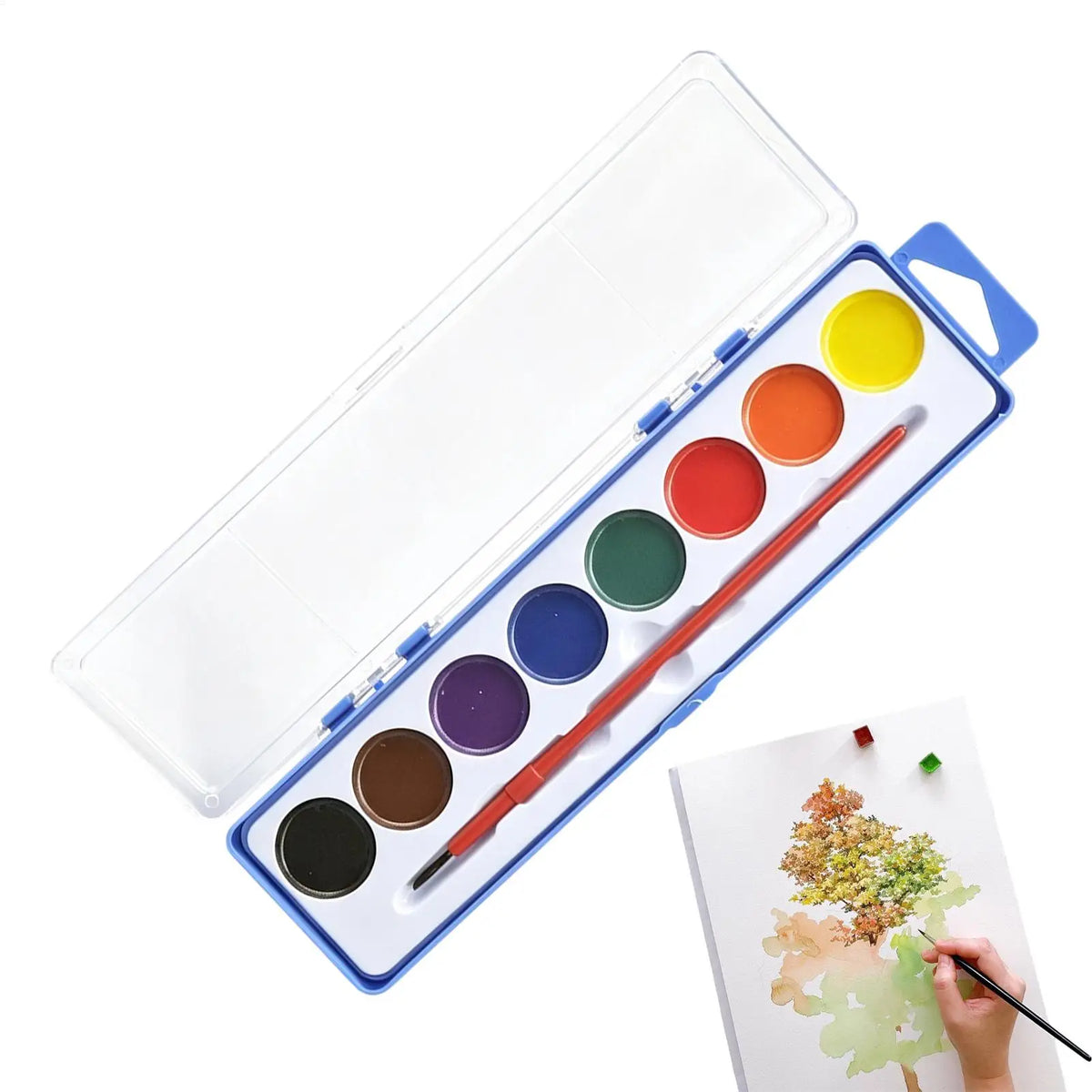 Washable Watercolor Paint Set 8 Colors – Kids & Adults Watercolor Paint Set PLUSH