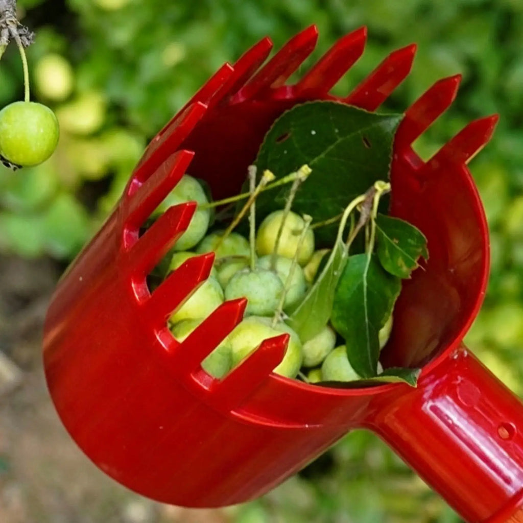 Portable Berry Picker Tool – Gentle Comb Fruit Harvester Fruit Harvesting Tool PLUSH