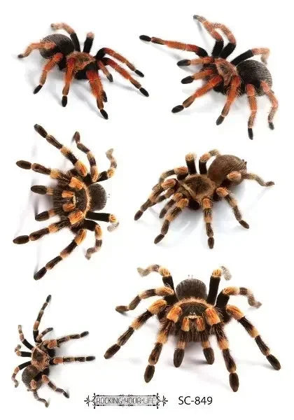 Spider Temporary Tattoo Sticker – Herbal Ink, Lasts 1-2 Weeks Temporary Tattoo Sticker PLUSH SC-849