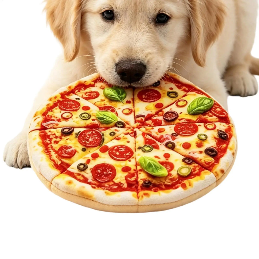 Pizza Squeaky Dog Toy – Plush Chew Toy for Dogs Dog Squeaky Toy PLUSH