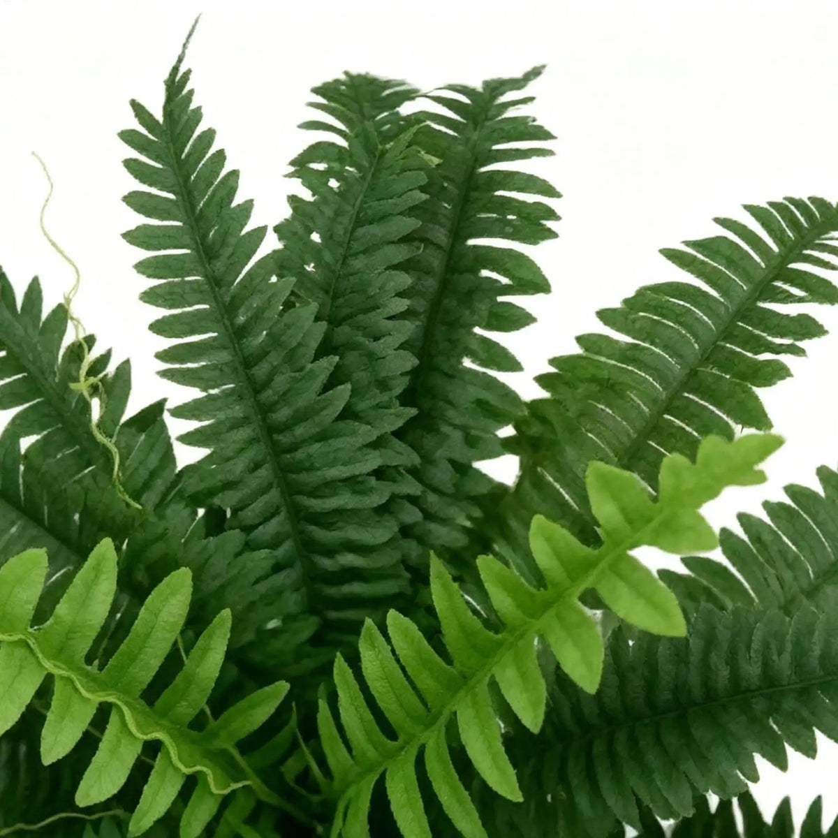 Artificial Fern UV Resistant Fake Plant – Indoor & Outdoor Artificial Plant Decor PLUSH
