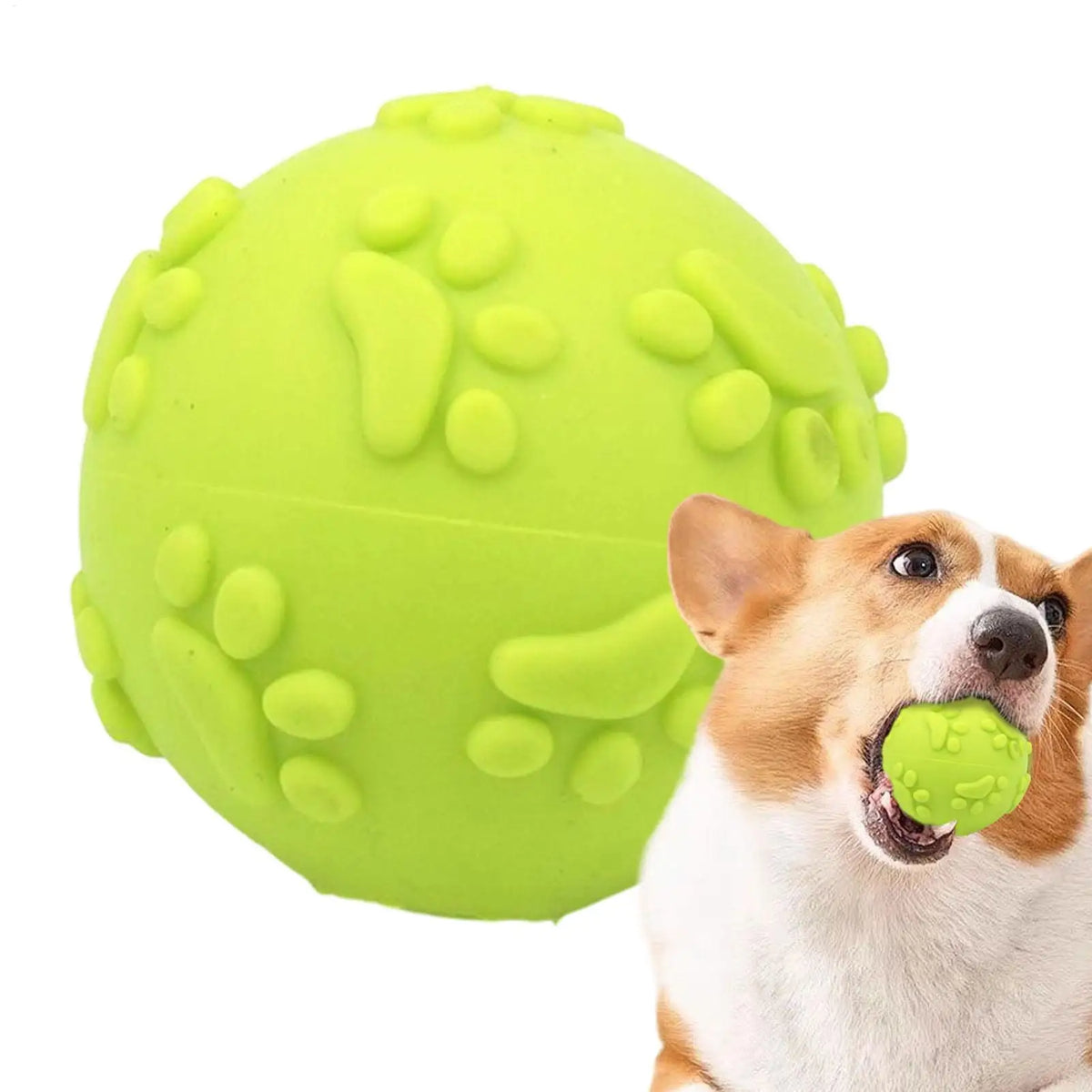 Squeaky Bouncy Dog Ball – Interactive Chew & Teeth Cleaning Dog Chew Toy PLUSH