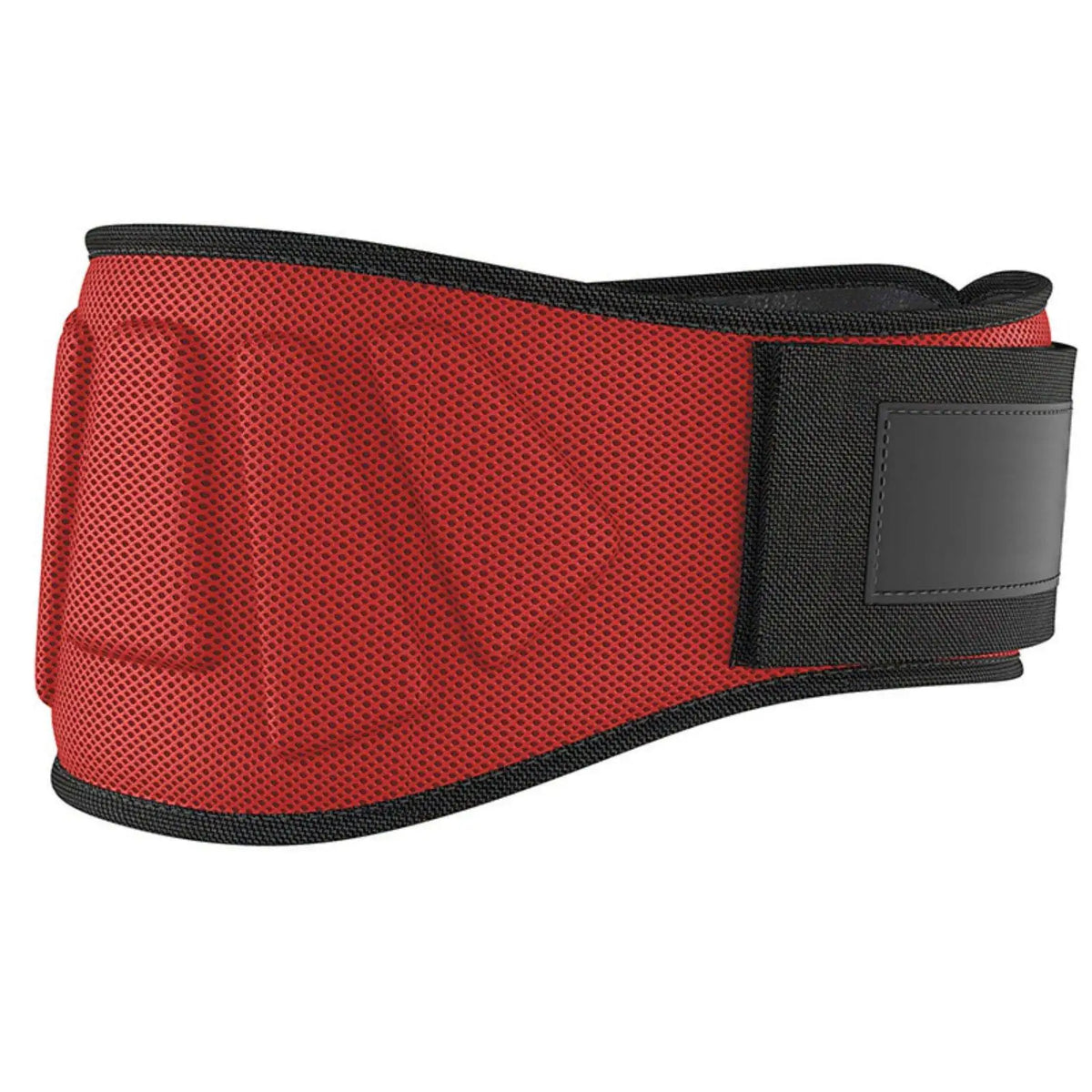 Weightlifting Belt Hook & Loop Steel Buckle | Gym Back Support Weightlifting Belt PLUSH