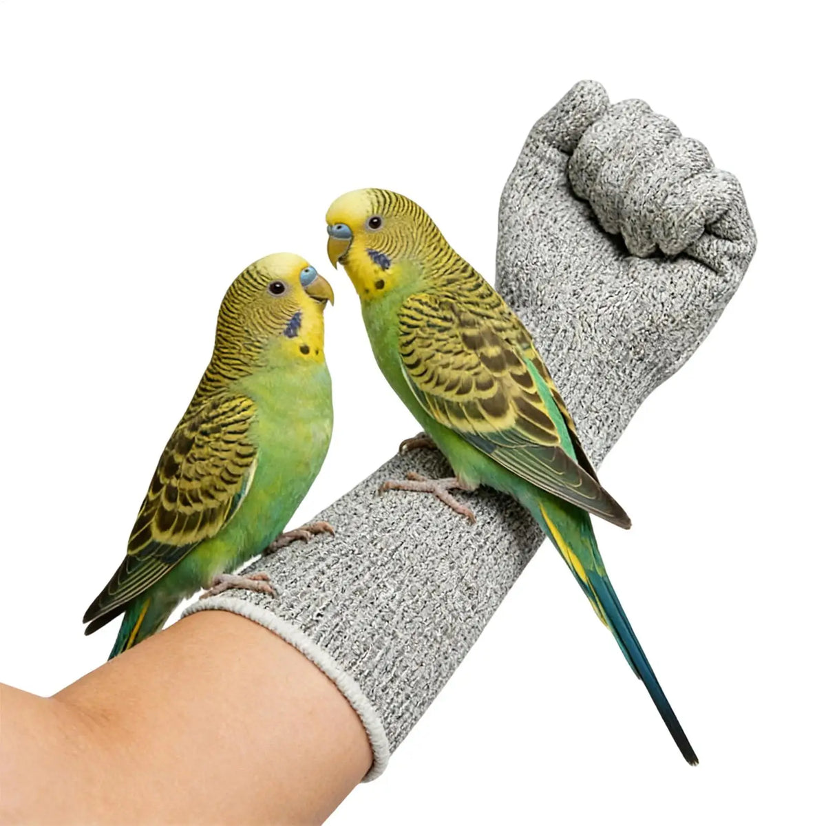 Bite-Proof Pet Gloves | Scratch Resistant – Grooming & Falconry Pet Handling Gloves PLUSH