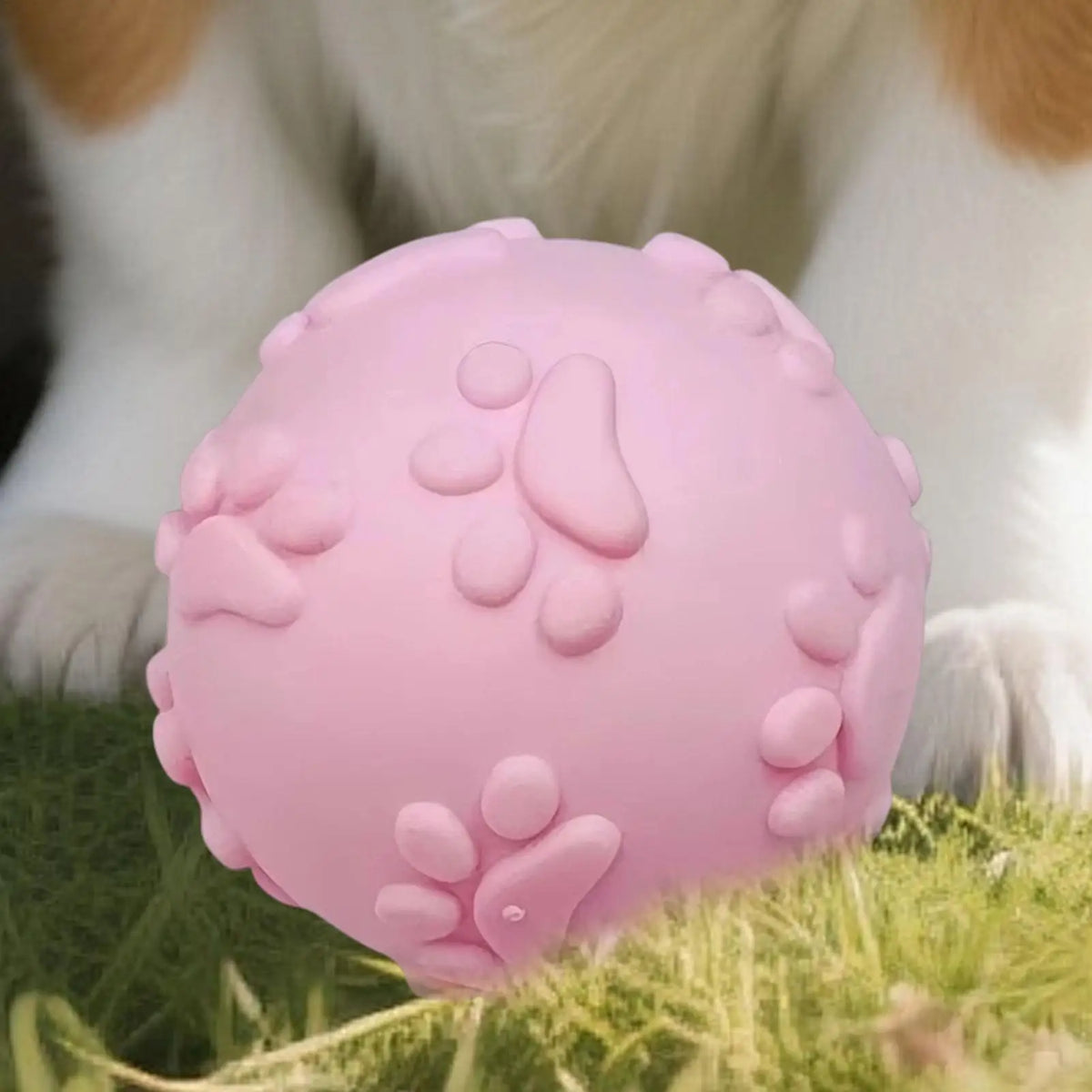 Squeaky Bouncy Dog Ball – Interactive Chew & Teeth Cleaning Dog Chew Toy PLUSH