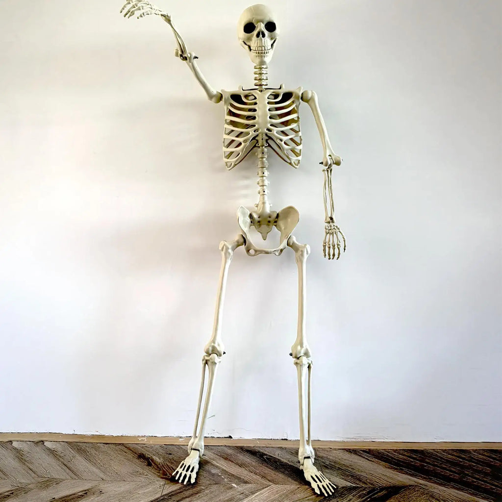 90cm Posable Halloween Skeleton Prop – Haunted House Decor Halloween Skeleton Prop PLUSH