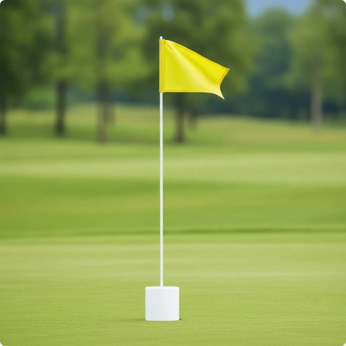 Golf Putting Practice Flagstick & Cup Set – Backyard Green Golf Training Aid PLUSH