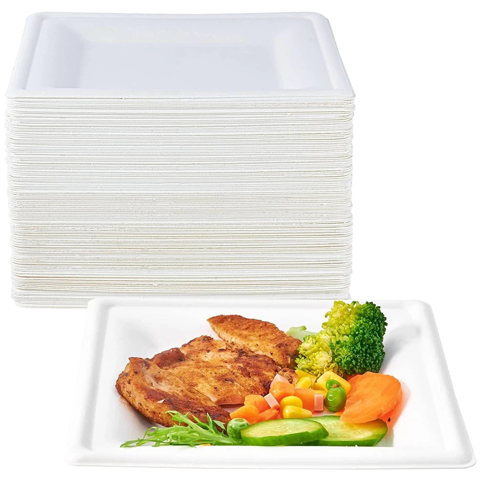 White Square Disposable Paper Plates 25/50pcs | Party Supplies Disposable Paper Plates PLUSH White 25PCS