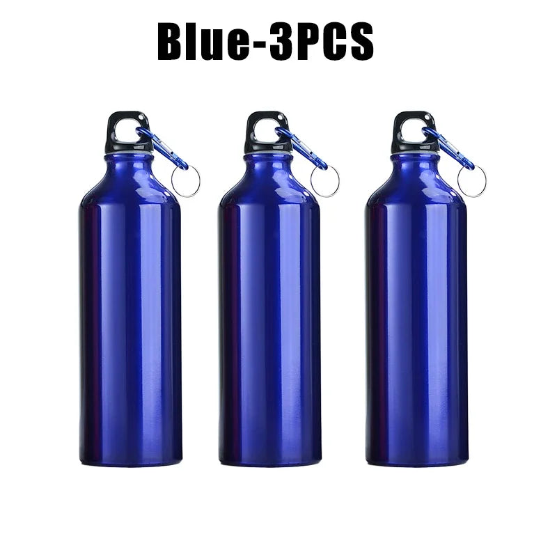 High Capacity Aluminum Insulated Sports Water Bottle – BPA-Free Sports Water Bottle PLUSH 750ml Blue 3PCS