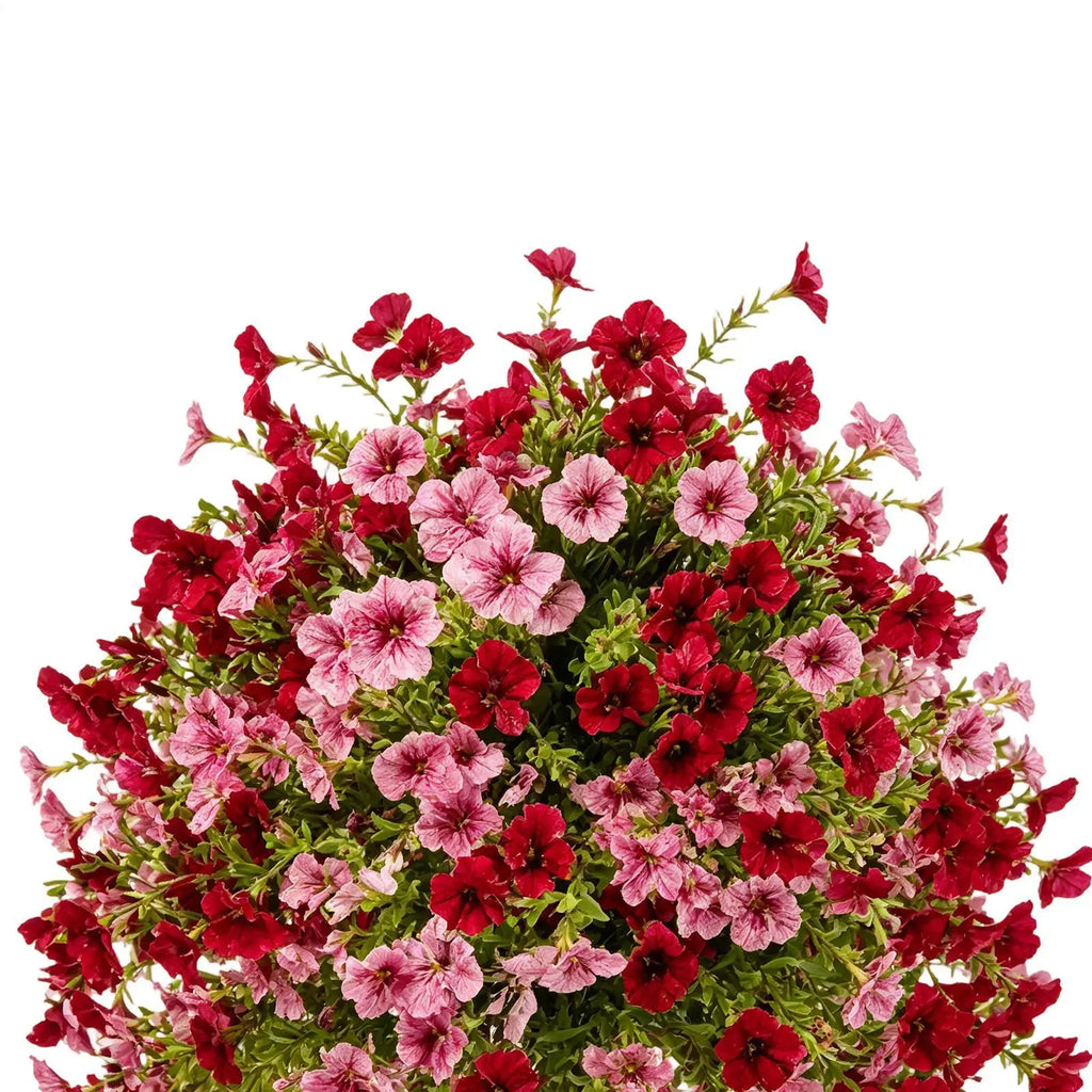 Artificial Petunia Flowers UV Resistant – Indoor & Outdoor Décor Artificial Flower Decor PLUSH