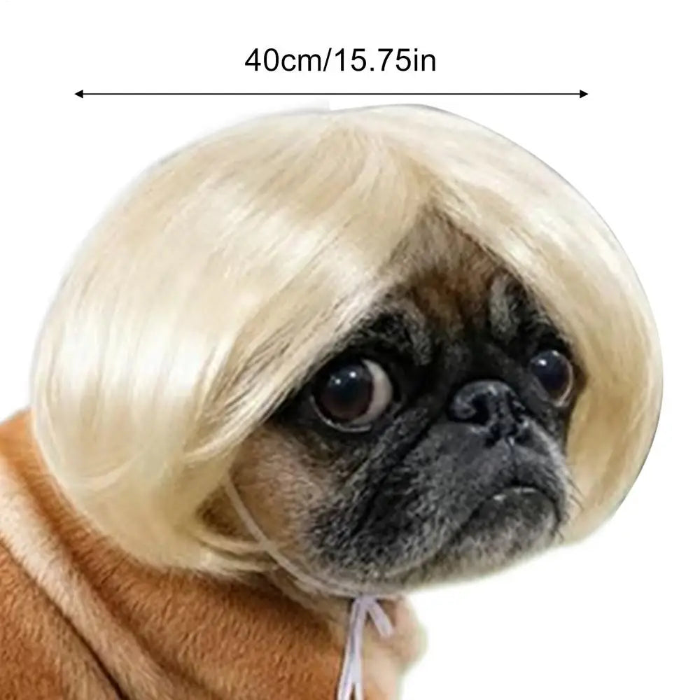 Funny Pet Wig for Dogs & Cats – DIY Halloween Costume Wig Pet Costume Wig PLUSH Rose Gold