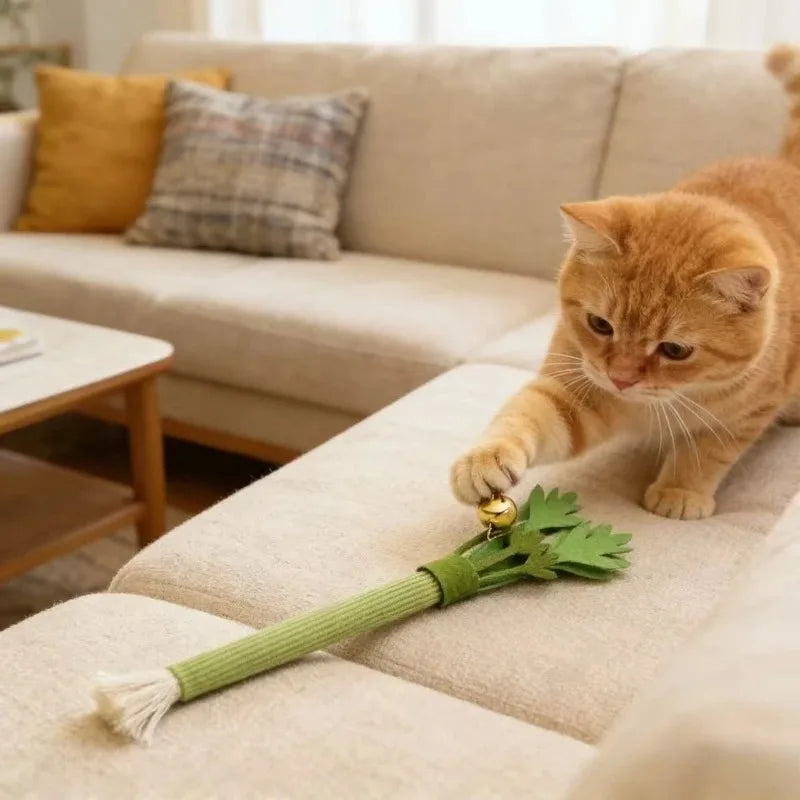 Catnip Cat Chew Toy – Molar Stick & Squeaky Interactive Play Cat Chew Toy PLUSH