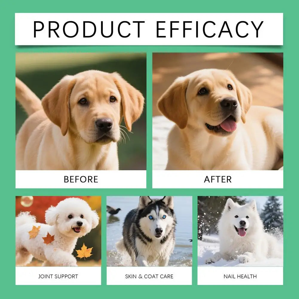Dog Collagen Liquid Supplement 60ml – Joint & Coat Support Dog Liquid Supplement PLUSH
