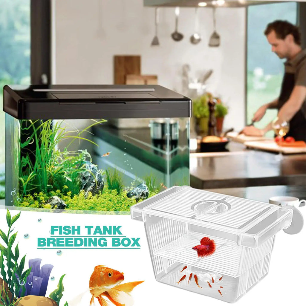 Aquarium Fish Breeder Box – Betta Fry Isolation & Hatching Box Fish Breeder Box PLUSH