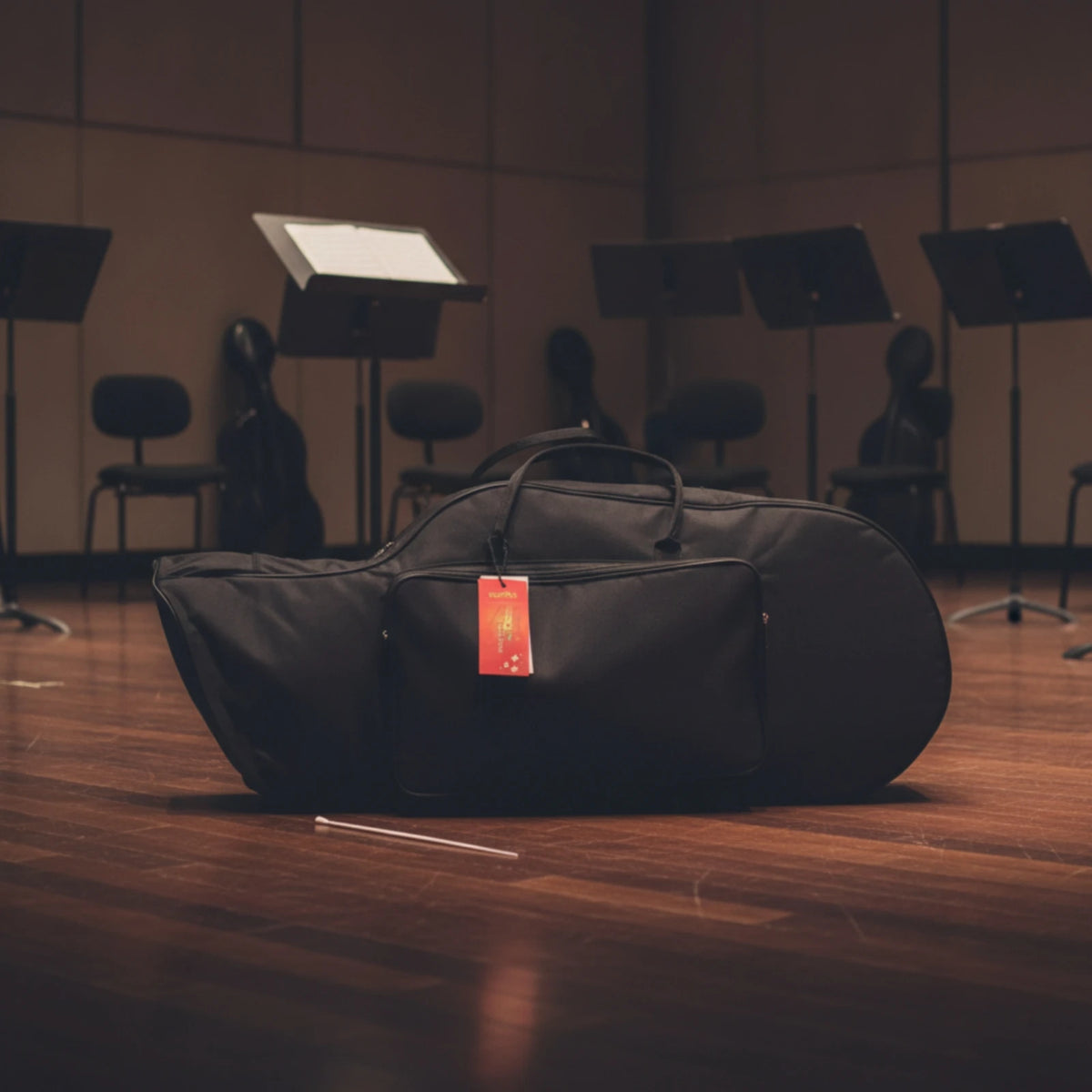 Trumpet Gig Bag – Padded Water-Resistant Carrying Case Trumpet Gig Bag PLUSH