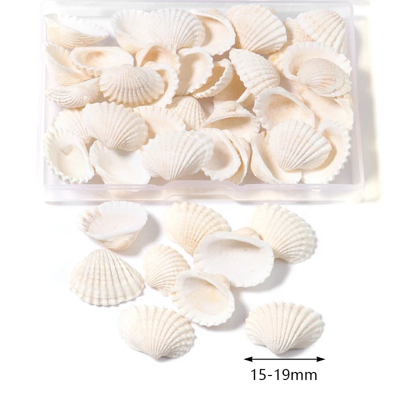 Mixed Natural Shell & Conch Beads Box – Ocean DIY Jewelry Set Shell Craft Beads PLUSH Type 18