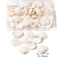 Mixed Natural Shell & Conch Beads Box – Ocean DIY Jewelry Set Shell Craft Beads PLUSH Type 18