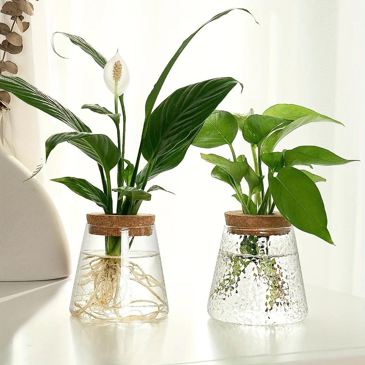 Nordic Glass Hydroponic Vase with Tray – Mini Tabletop Planter Hydroponic Glass Vase PLUSH