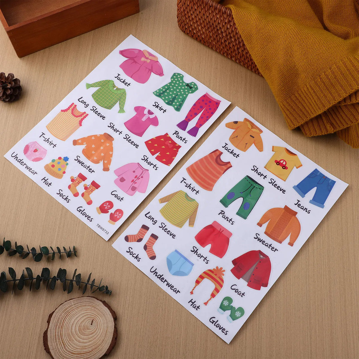Clothing Classification Label Stickers – Wardrobe Organizer Clothing Label Stickers PLUSH