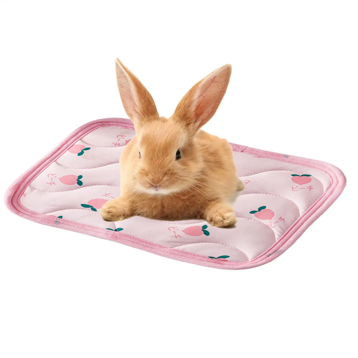 Pet Cooling Mat for Small Dogs & Cats – Summer Ice Pad Pet Cooling Mat PLUSH