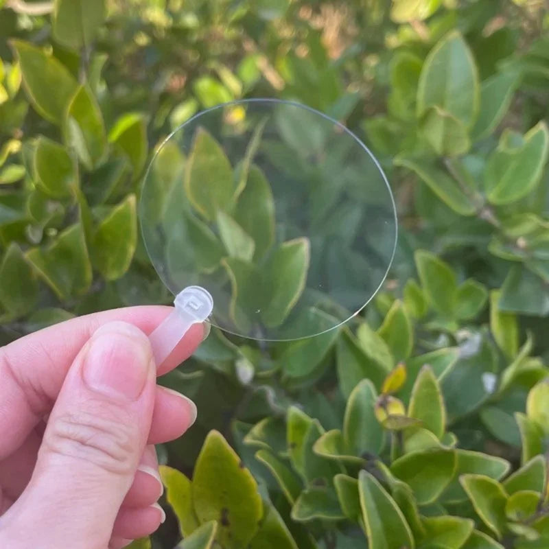 50pcs Mini Transparent Blank DIY Fans – Party Favors & Crafts DIY Craft Fans PLUSH