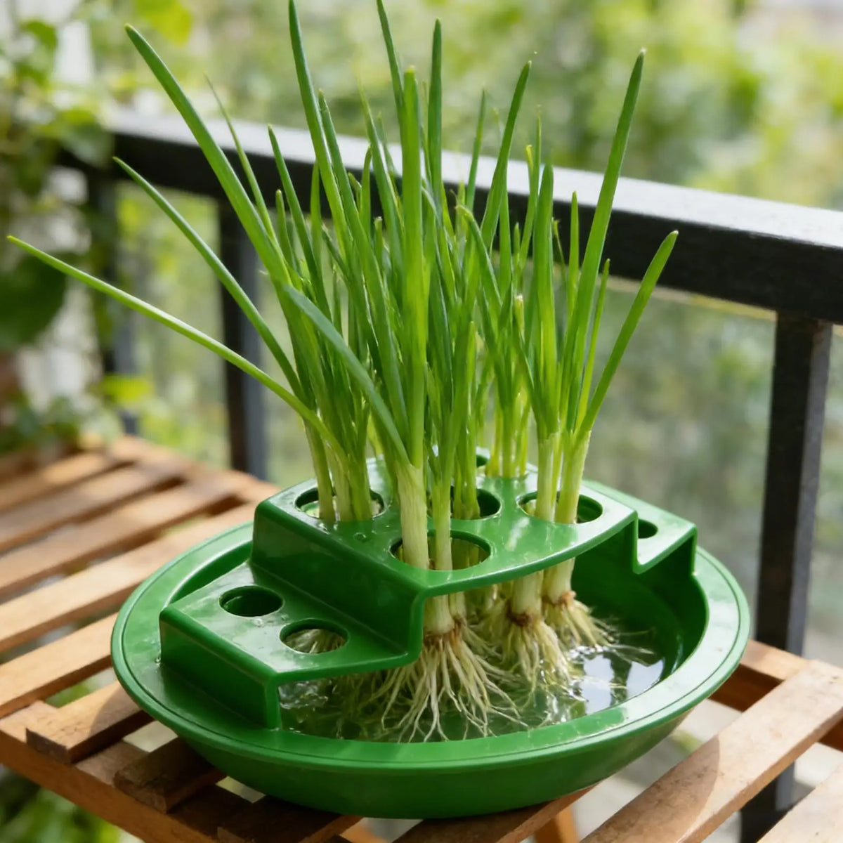 Hydroponic Green Onion Regrowth Planter – Auto Watering Hydroponic Planter PLUSH