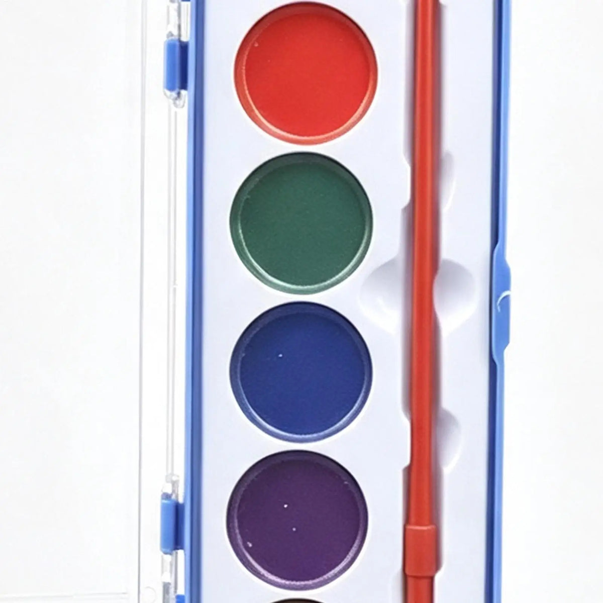 Washable Watercolor Paint Set 8 Colors – Kids & Adults Watercolor Paint Set PLUSH