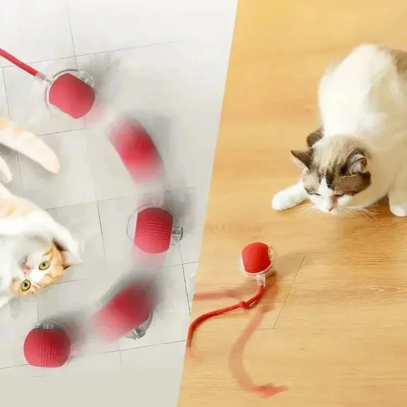 Cat Interactive Auto-Rolling Ball Toy with LED Light & Sound Interactive Cat Toy PLUSH