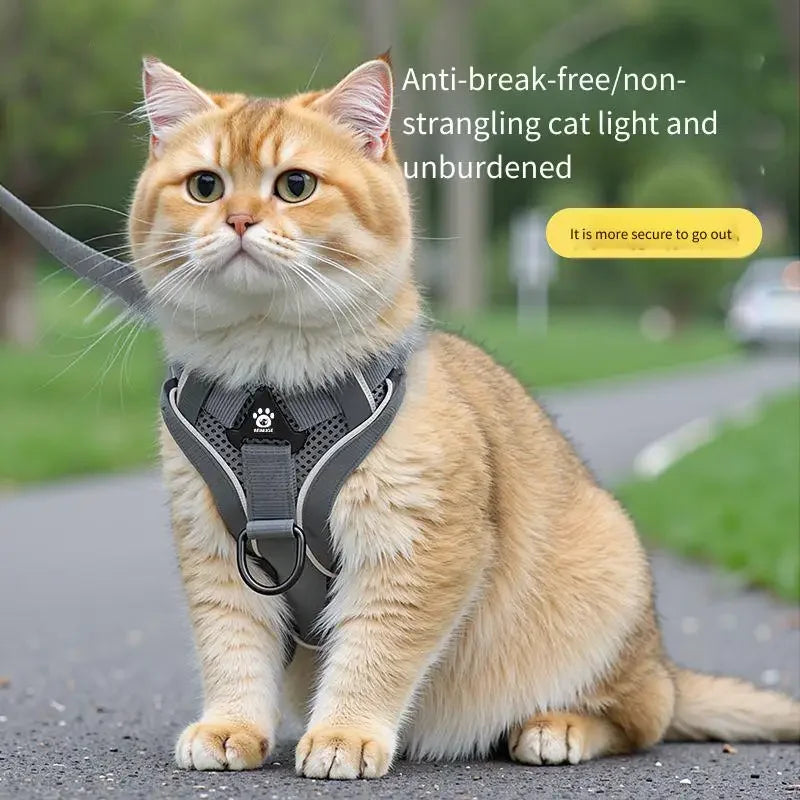 Escape-Proof Cat Harness Reflective Vest & Leash | S–XL Cat Harness & Leash PLUSH