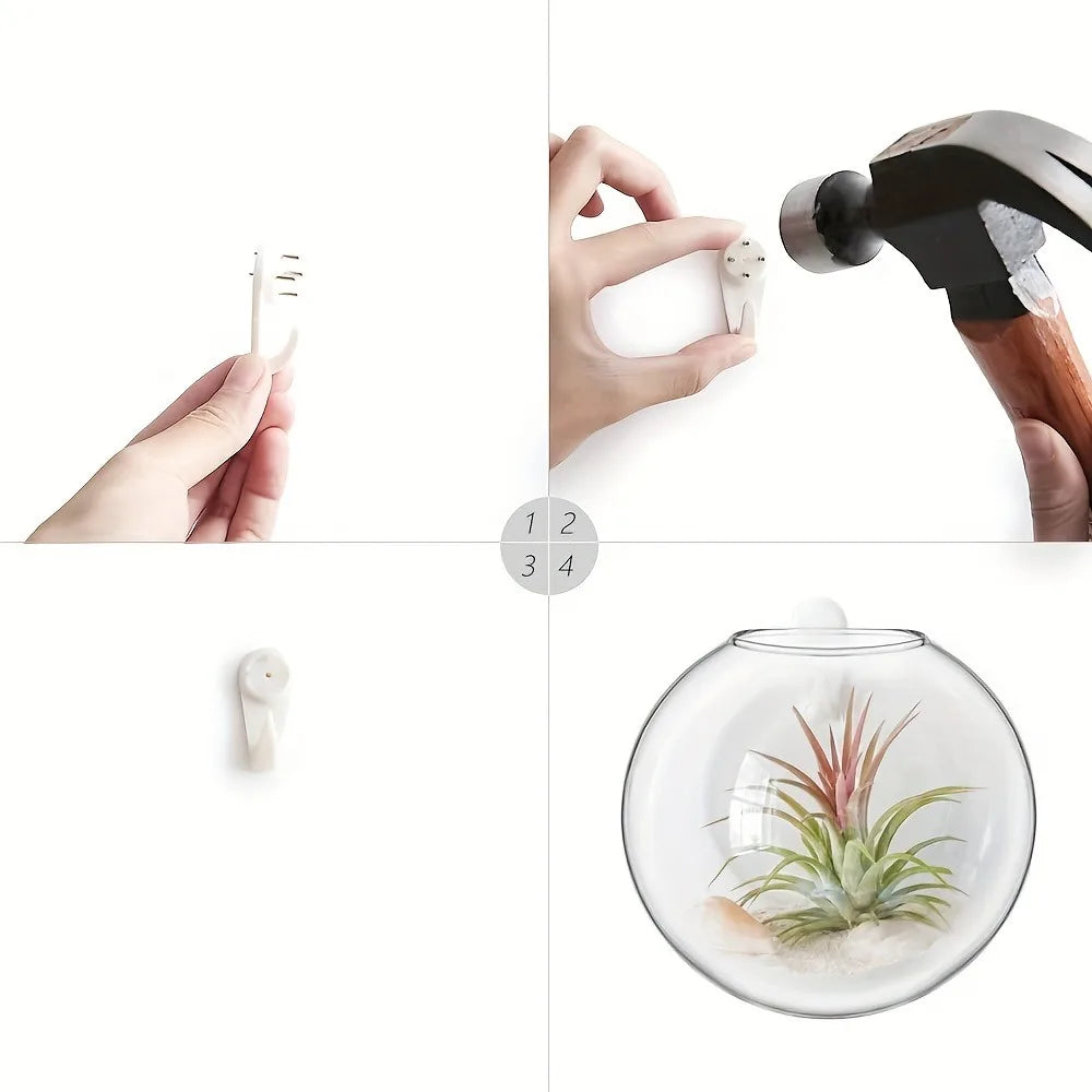 Semi-Circle Wall Vase | Glass Hydroponic Planter & Terrarium Wall Hanging Vase PLUSH