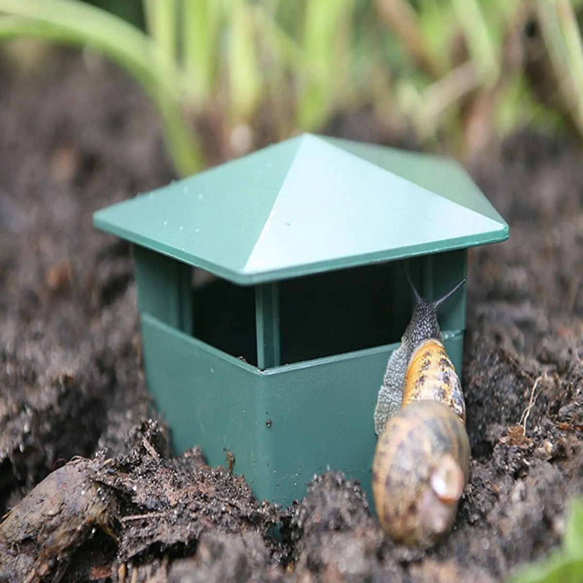 Reusable Slug & Snail Trap House – Eco Garden Pest Catcher Garden Pest Trap PLUSH