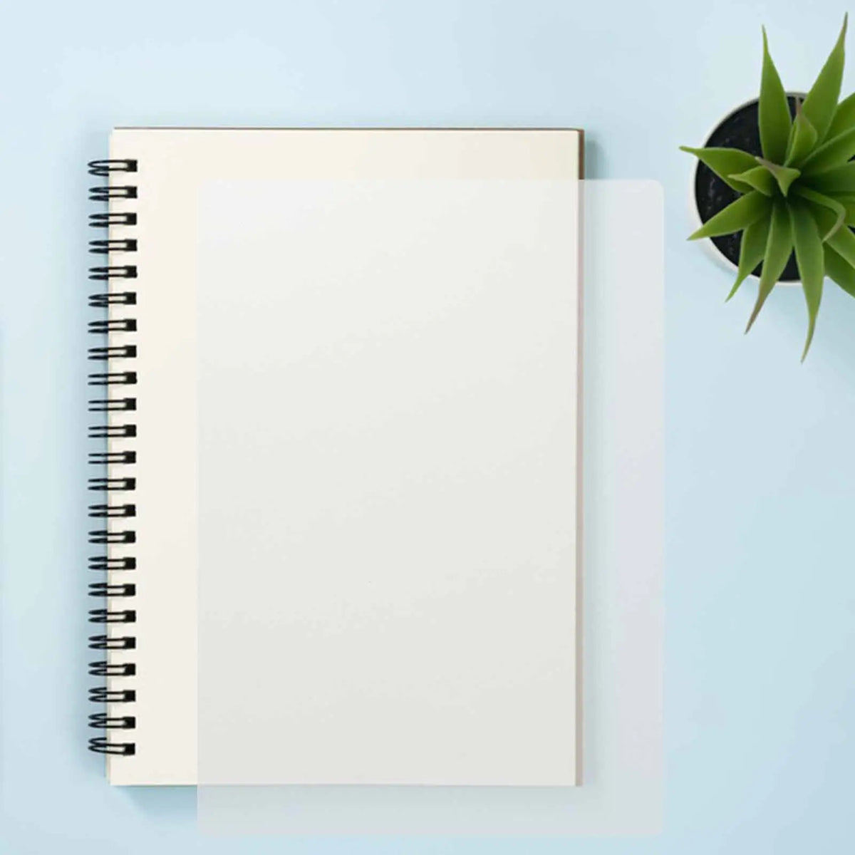A4 Clear Binding Sheets 50 Pack – Transparent Plastic Covers Binding Covers PLUSH