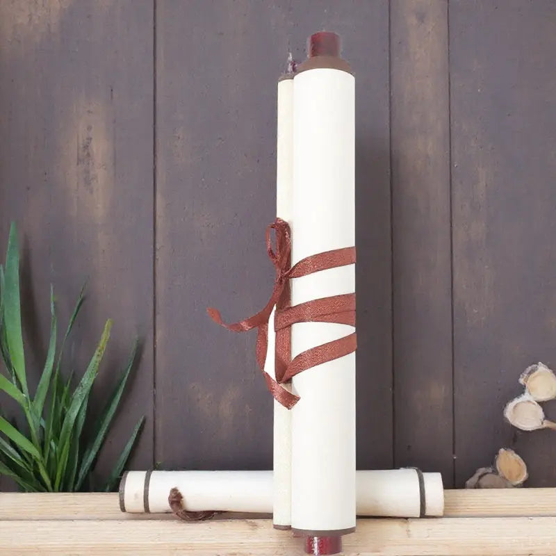 Blank Rice Paper Scroll – Chinese Calligraphy & Ink Painting Calligraphy Scroll Paper PLUSH