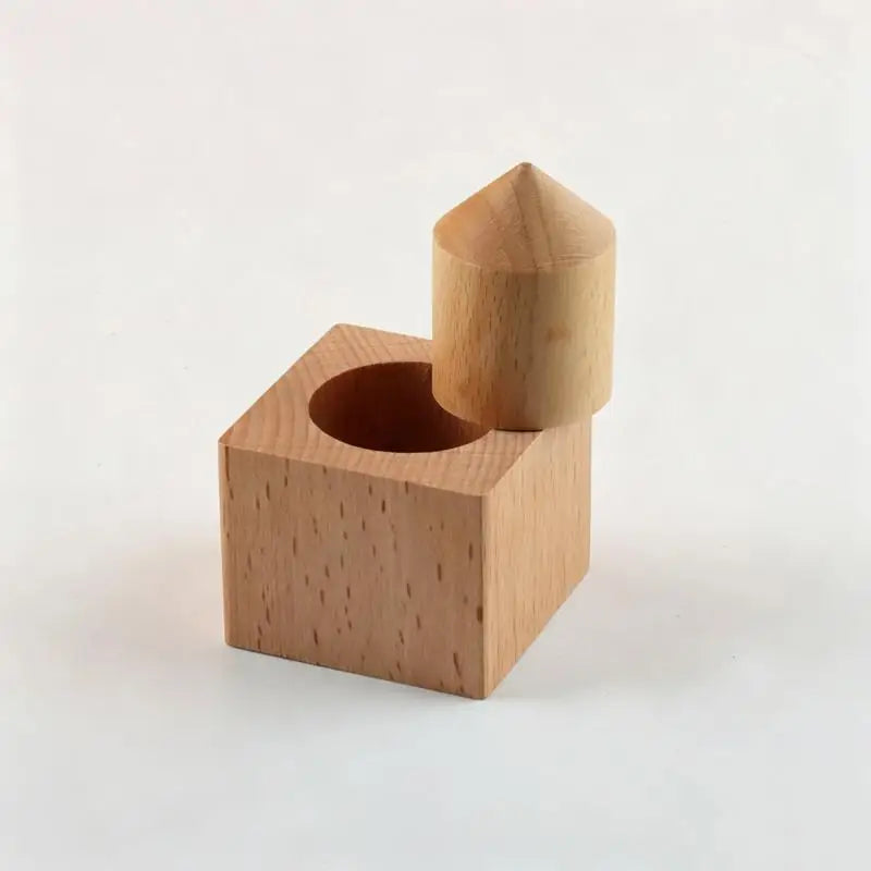 Wooden Montessori Puzzle Block – Educational Toy for Kids Wooden Puzzle Toy PLUSH