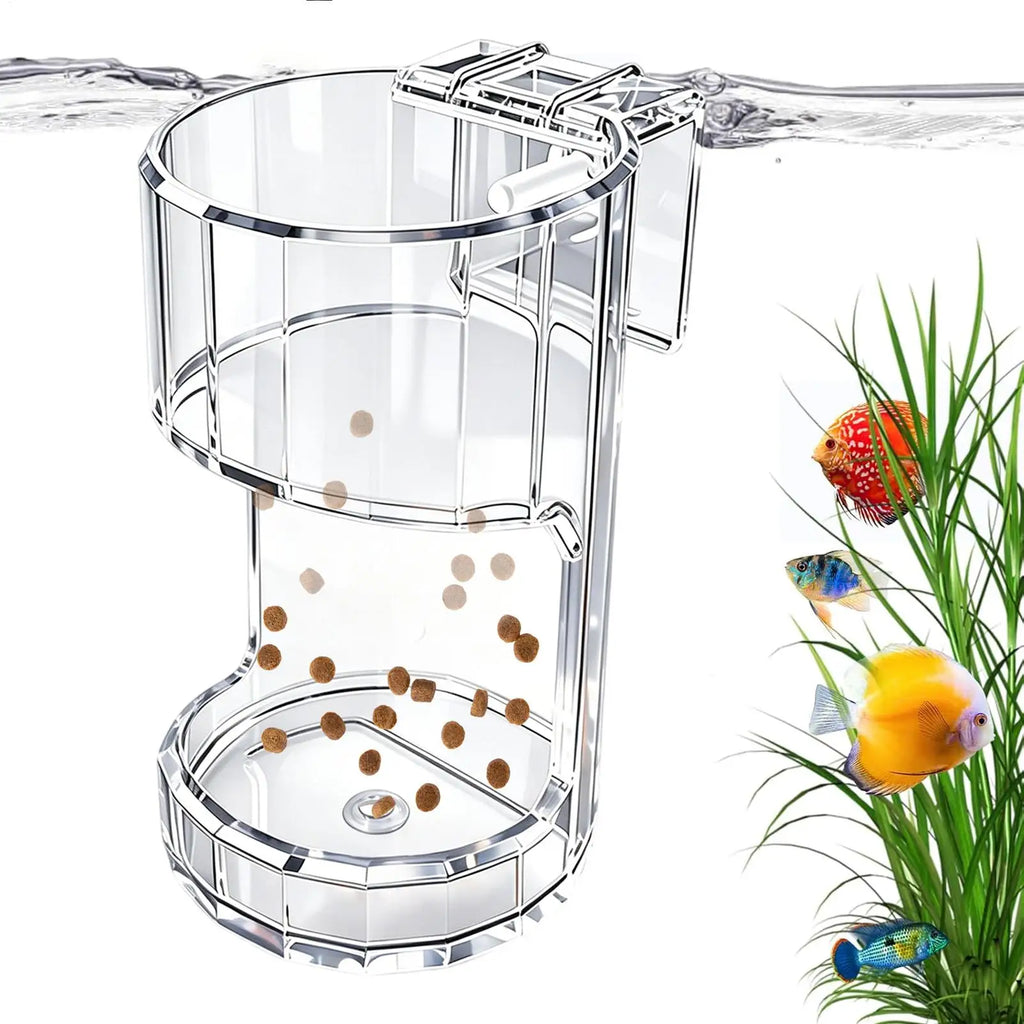 Acrylic Fish Feeder Ring | Wall-Mounted Aquarium Feeding Tray Aquarium Fish Feeder PLUSH