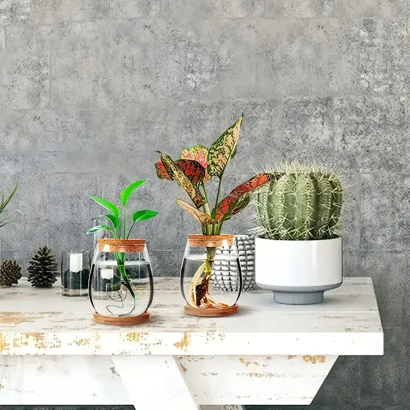 Hydroponic Glass Propagation Vase – Modern Indoor Planter Propagation Vase PLUSH