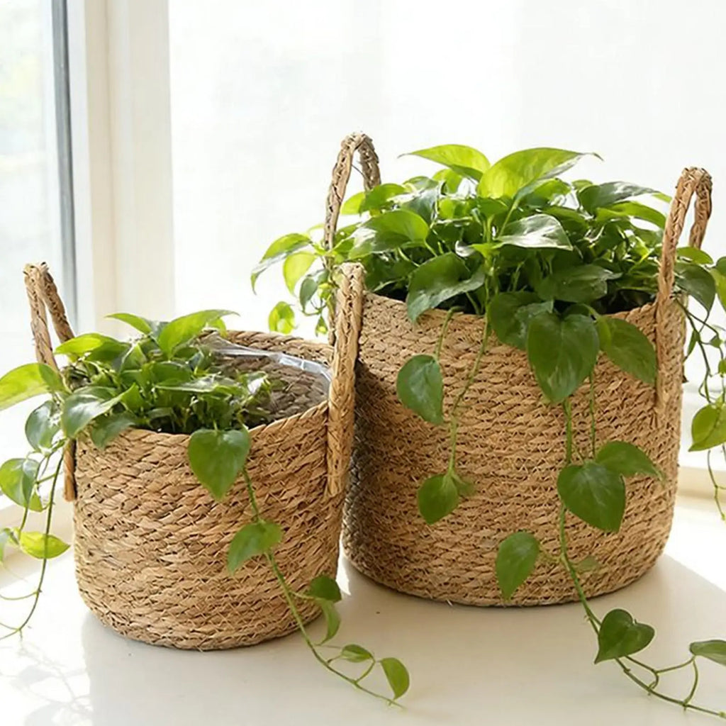 Wicker Rattan Planter Basket | Natural Straw Flower Pot Wicker Planter Basket PLUSH
