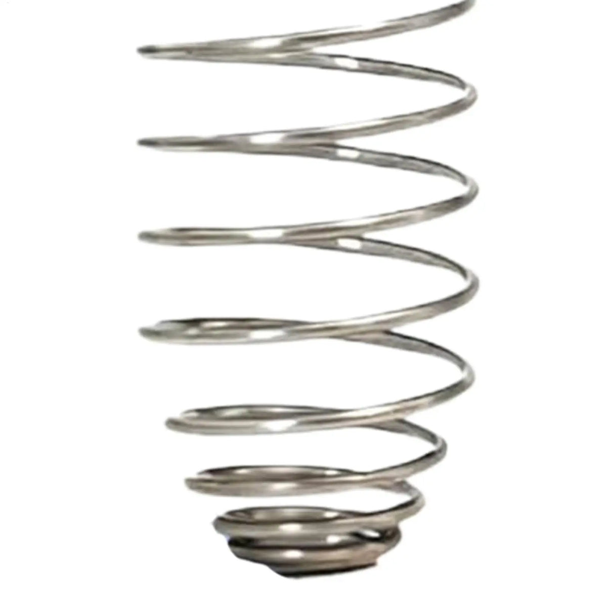 Stainless Steel Spiral Parrot Forager Feeder – Fruit & Veg Basket Bird Forager Feeder PLUSH