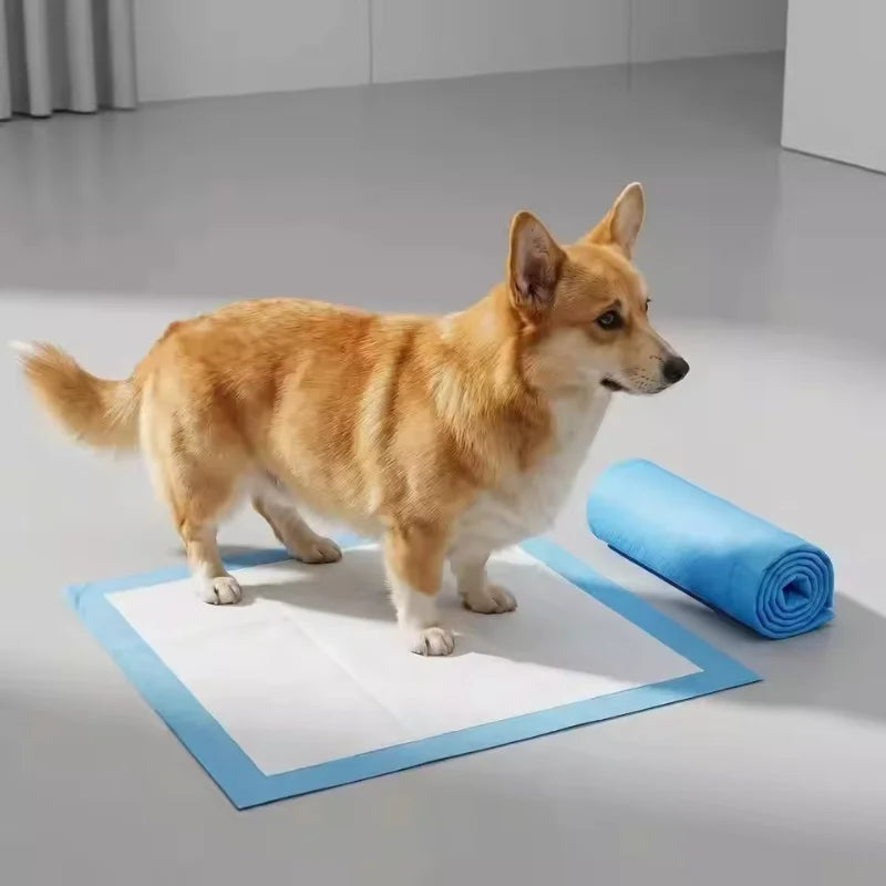 Pet Pee Pads for Dogs & Cats – Super Absorbent Training Mats Pet Training Pads PLUSH